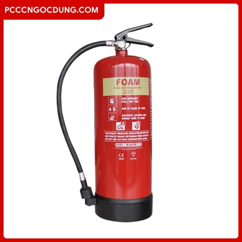 Binh-chua-chay-dang-bot-foam-9L-500x500